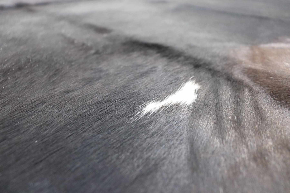 Black White Cowhide (6.11 X 5.7 ft.) Exact As Photo BRAZILIAN Cowhide Rug | 100% Natural Cowhide Area Rug | Real Leather Cow Skin Rug | BZ122