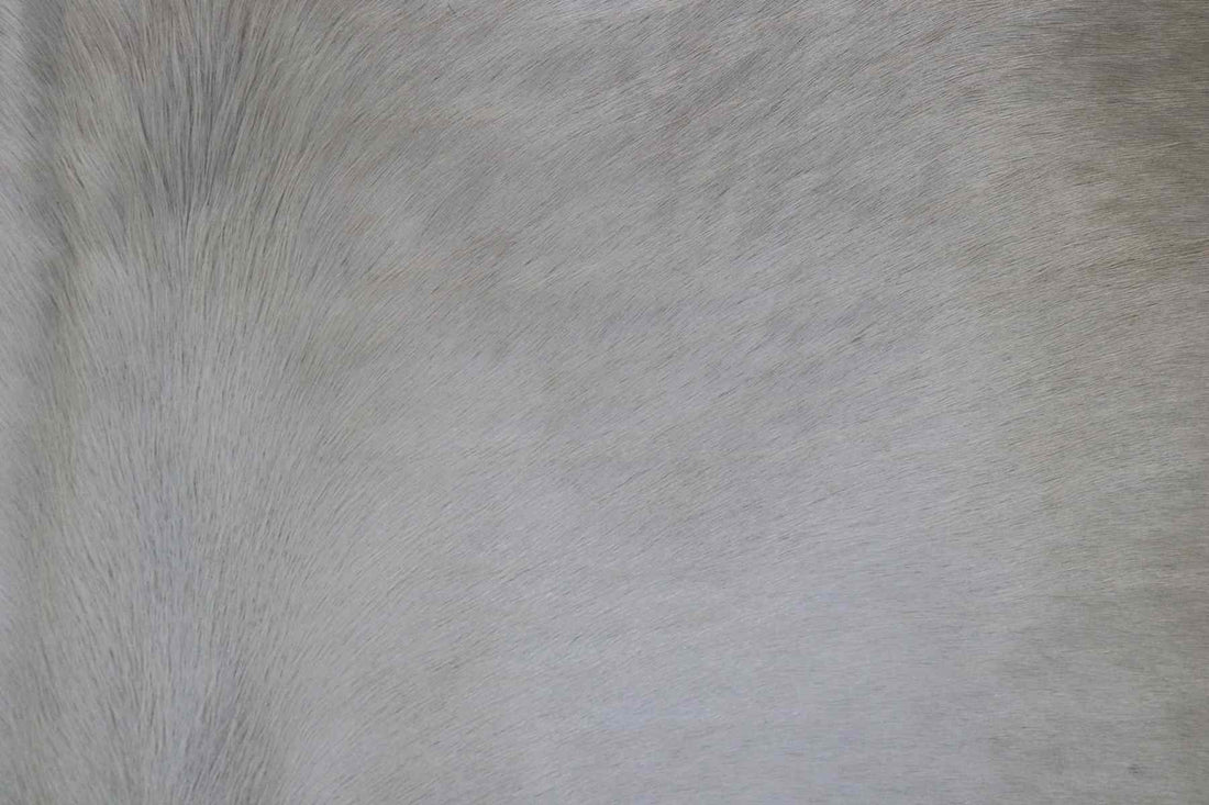 Beige White (7.1 X 5.7 ft.) Exact As Photo BRAZILIAN Cowhide Rug | 100% Natural Cowhide Area Rug | Real Leather Cow Skin Rug | BZ127