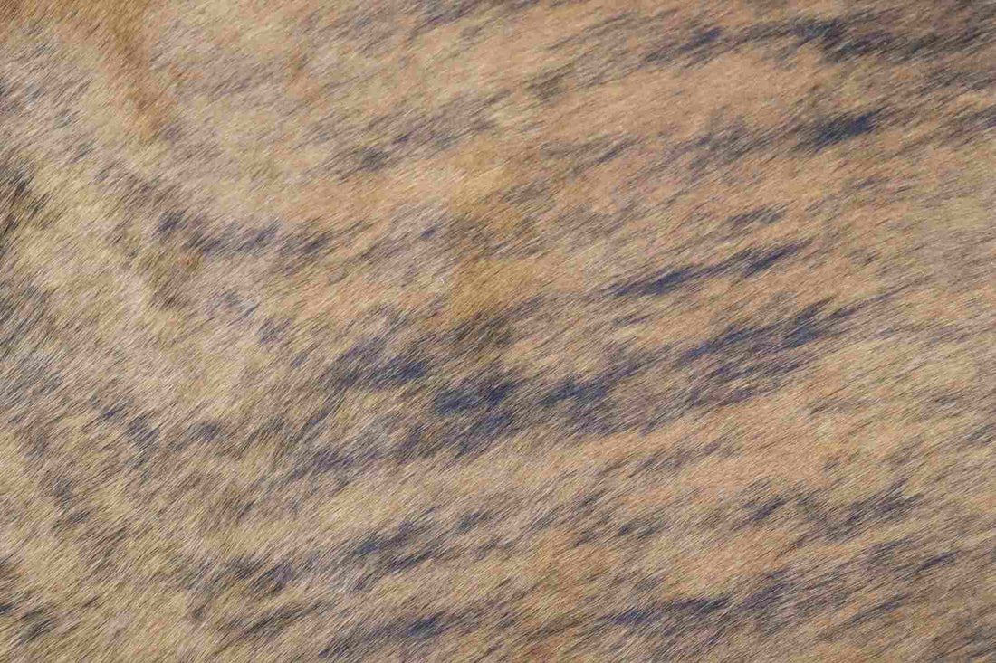Brindle (8.5 X 8.1 ft.) Exact As Photo BRAZILIAN Cowhide Rug | 100% Natural Cowhide Area Rug | Real Leather Cow Skin Rug | BZ139