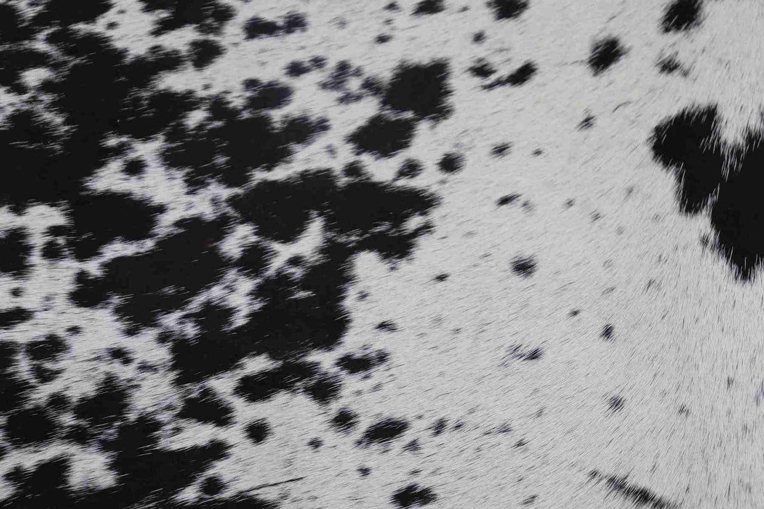Black White (6.9 X 5.9 ft.) Exact As Photo BRAZILIAN Cowhide Rug | 100% Natural Cowhide Area Rug | Real Leather Cow Skin Rug | BZ152