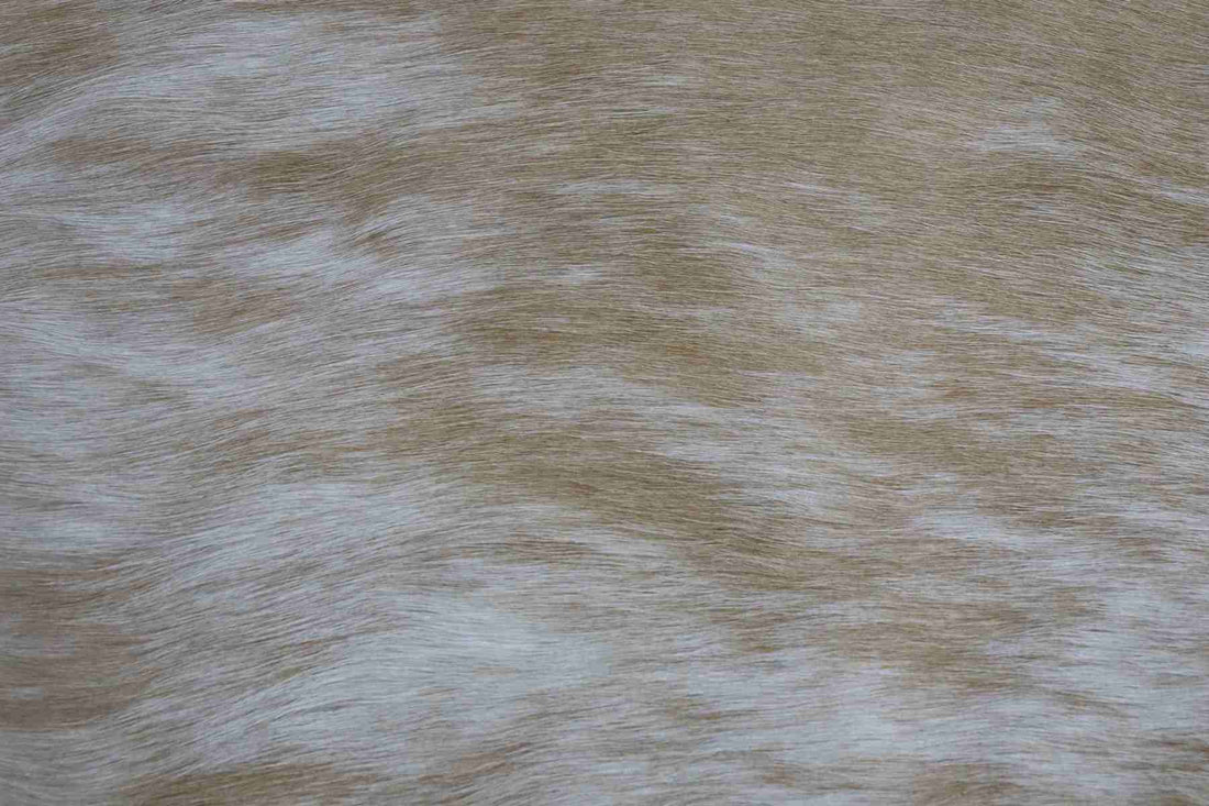 Light Brown White Brindle (6.7 X 5.9 ft.) Exact As Photo BRAZILIAN Cowhide Rug | 100% Natural Cowhide Area Rug | Real Leather Cow Skin Rug | BZ176