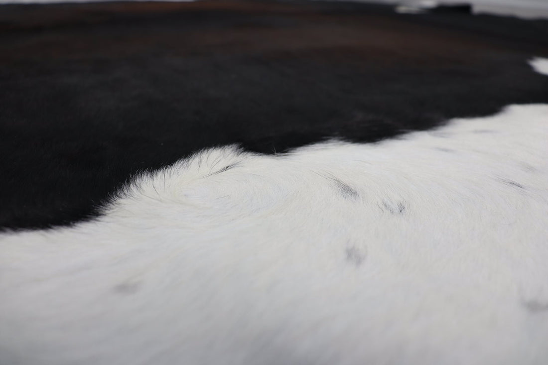 Tricolor (7.6 X 6.4 ft.) Exact As Photo BRAZILIAN Cowhide Rug | 100% Natural Cowhide Area Rug | Real Leather Cow Skin Rug | BZ177