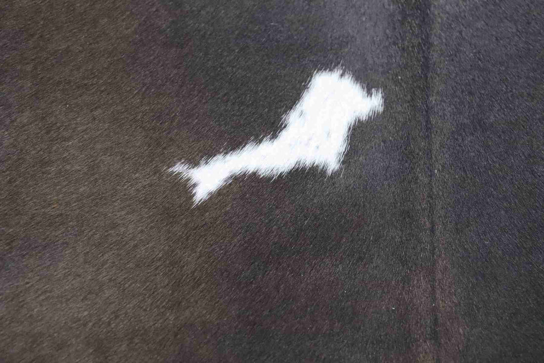 Tricolor (6.11 X 5.8 ft.) Exact As Photo BRAZILIAN Cowhide Rug | 100% Natural Cowhide Area Rug | Real Leather Cow Skin Rug | BZ179