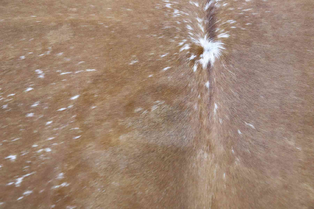 Brown White (6.9 X 5.4 ft.) Exact As Photo BRAZILIAN Cowhide Rug | 100% Natural Cowhide Area Rug | Real Leather Cow Skin Rug | BZ182