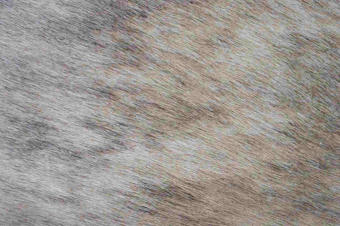 Beige Brown (6.6 X 6.7 ft.) Exact As Photo BRAZILIAN Cowhide Rug | 100% Natural Cowhide Area Rug | Real Leather Cow Skin Rug | BZ193