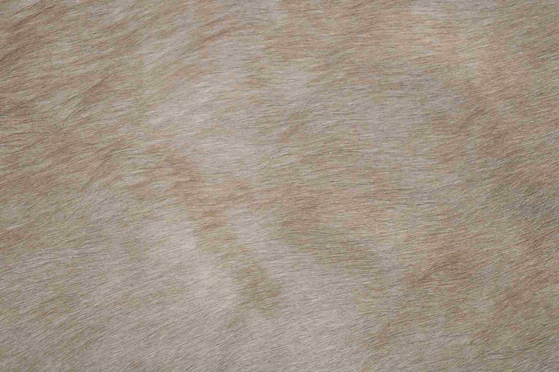 Light Brown White (7 X 5.11 ft.) Exact As Photo BRAZILIAN Cowhide Rug | 100% Natural Cowhide Area Rug | Real Leather Cow Skin Rug | BZ201
