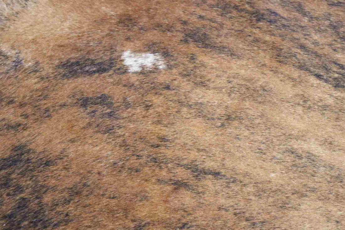Brown Brindle (8.8 X 7.6 ft.) Exact As Photo BRAZILIAN Cowhide Rug | 100% Natural Cowhide Area Rug | Real Leather Cow Skin Rug | BZ211