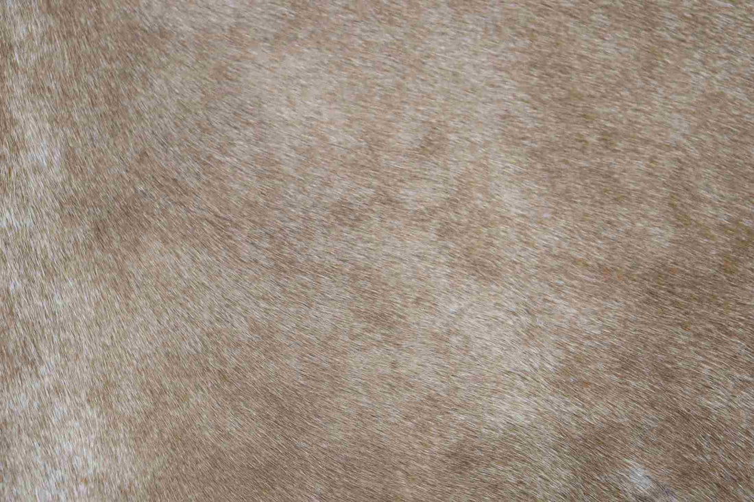 Brown Black (7.5 X 5.2 ft.) Exact As Photo BRAZILIAN Cowhide Rug | 100% Natural Cowhide Area Rug | Real Leather Cow Skin Rug | BZ217