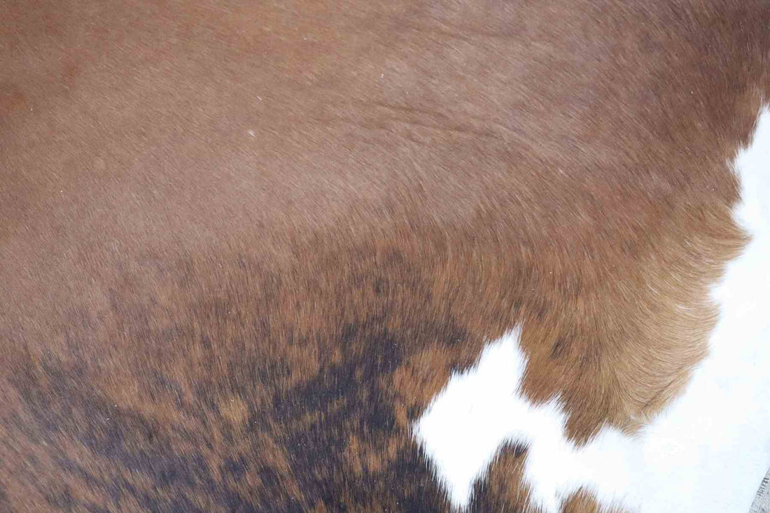 Brown White (6.10 X 6.1 ft.) Exact As Photo BRAZILIAN Cowhide Rug | 100% Natural Cowhide Area Rug | Real Leather Cow Skin Rug | BZ230
