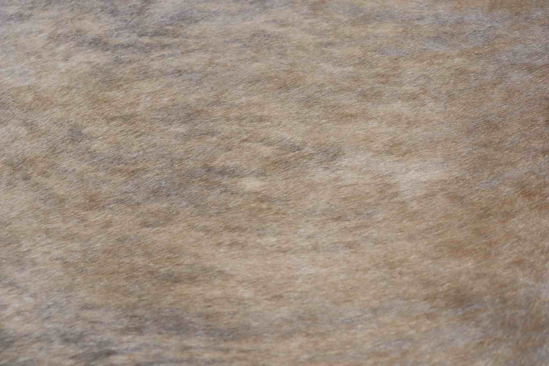 Light Brown White Brindle (6.8 X 6.5 ft.) Exact As Photo BRAZILIAN Cowhide Rug | 100% Natural Cowhide Area Rug | Real Leather Cow Skin Rug | BZ255