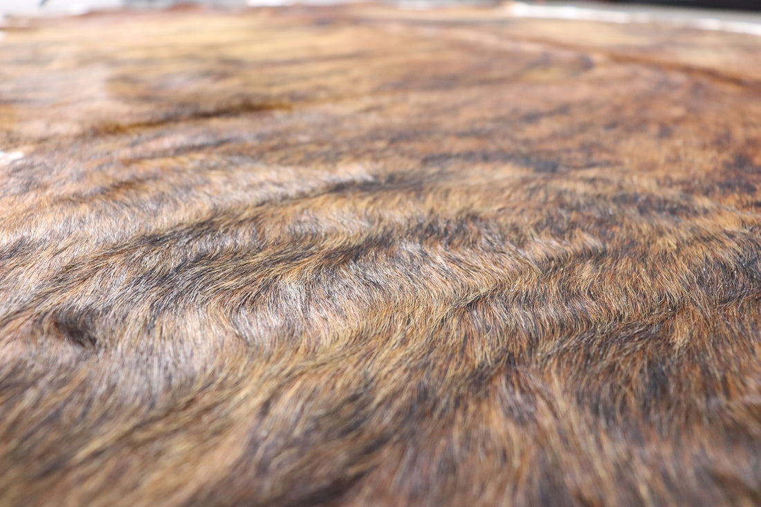 Tricolor Brindle (6.8 X 5.9 ft.) Exact As Photo BRAZILIAN Cowhide Rug | 100% Natural Cowhide Area Rug | Real Leather Cow Skin Rug | BZ292