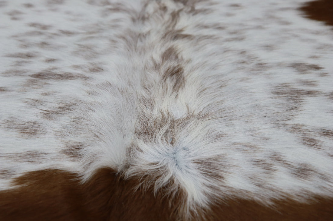Brown White (6.7 X 6.5 ft.) Exact As Photo BRAZILIAN Cowhide Rug | 100% Natural Cowhide Area Rug | Real Leather Cow Skin Rug | BZ304