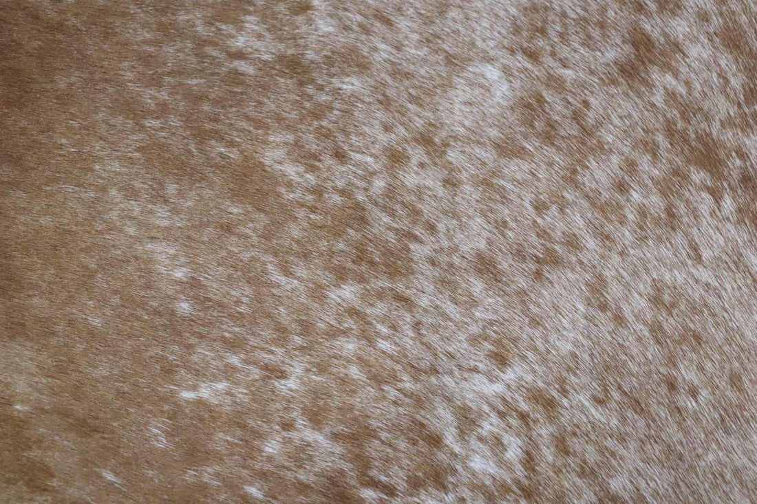 Brown White (6.4 X 6.1 ft.) Exact As Photo BRAZILIAN Cowhide Rug | 100% Natural Cowhide Area Rug | Real Leather Cow Skin Rug | BZ337
