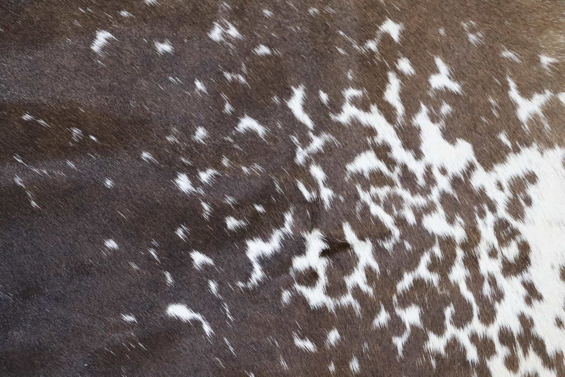 Brown White (6.2 X 6.9 ft.) Exact As Photo BRAZILIAN Cowhide Rug | 100% Natural Cowhide Area Rug | Real Leather Cow Skin Rug | BZ340