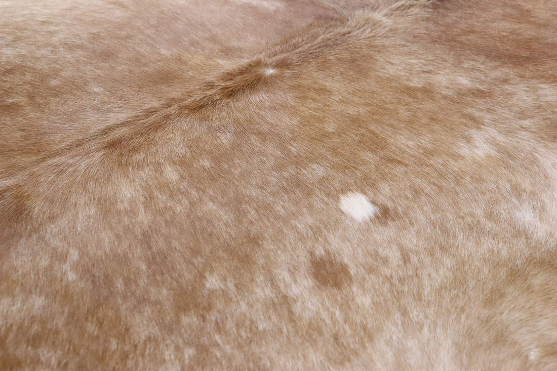 Brown White (6.2 X 5.8 ft.) Exact As Photo BRAZILIAN Cowhide Rug | 100% Natural Cowhide Area Rug | Real Leather Cow Skin Rug | BZ349