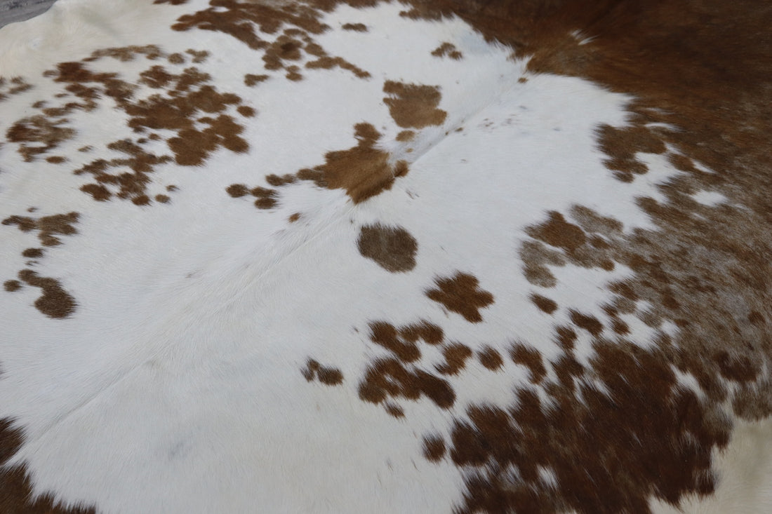Brown White (6.9 X 6 ft.) Exact As Photo BRAZILIAN Cowhide Rug | 100% Natural Cowhide Area Rug | Real Leather Cow Skin Rug | BZ360