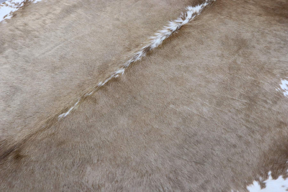 Brown White (6.7 X 6.2 ft.) Exact As Photo BRAZILIAN Cowhide Rug | 100% Natural Cowhide Area Rug | Real Leather Cow Skin Rug | BZ361