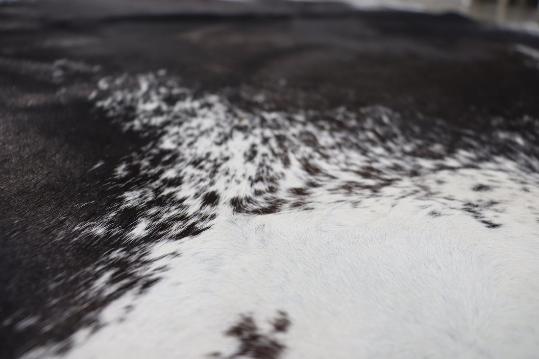 Black White (6.6 X 6 ft.) Exact As Photo BRAZILIAN Cowhide Rug | 100% Natural Cowhide Area Rug | Real Leather Cow Skin Rug | BZ402