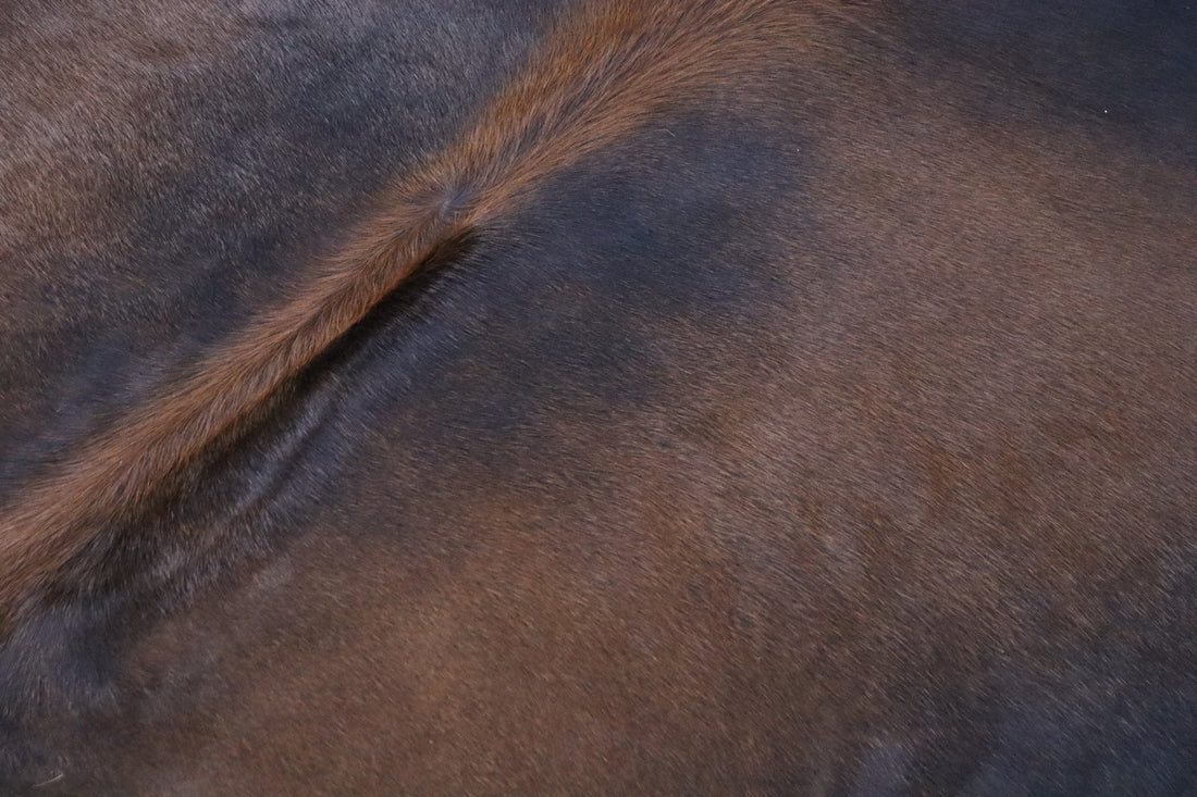 Tricolor (8.4 X 7.3 ft.) Exact As Photo BRAZILIAN Cowhide Rug | 100% Natural Cowhide Area Rug | Real Leather Cow Skin Rug | BZ457
