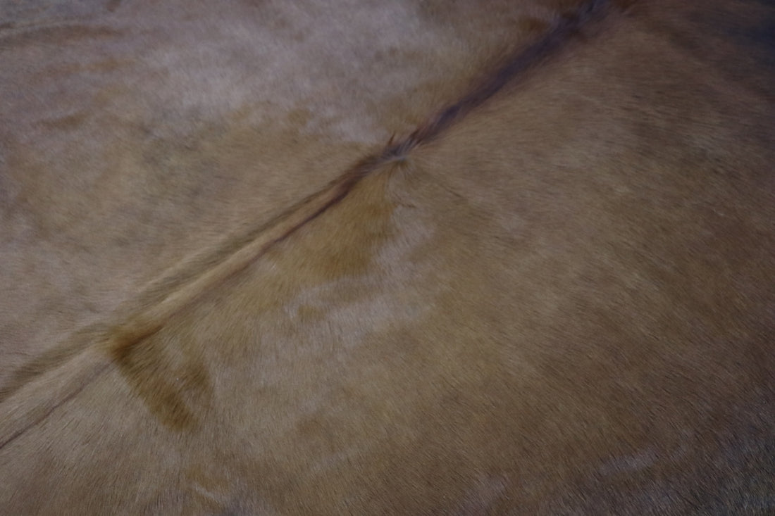 Brown Black (8.3 X 6.3 ft.) Exact As Photo BRAZILIAN Cowhide Rug | 100% Natural Cowhide Area Rug | Real Leather Cow Skin Rug | BZ462