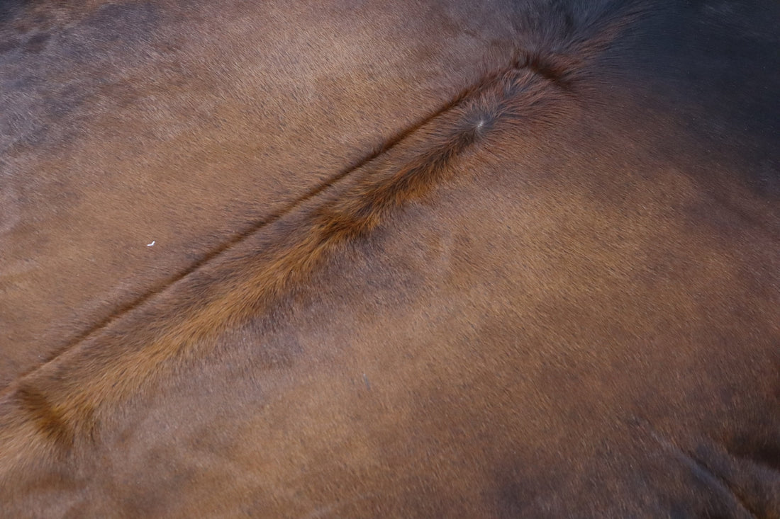Brown Black (8 X 7 ft.) Exact As Photo BRAZILIAN Cowhide Rug | 100% Natural Cowhide Area Rug | Real Leather Cow Skin Rug | BZ463