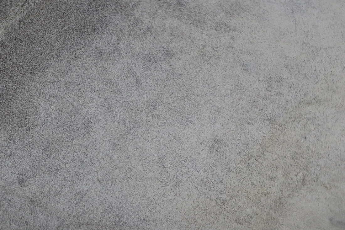 Grey (6.7 X 6 ft.) Exact As Photo BRAZILIAN Cowhide Rug | 100% Natural Cowhide Area Rug | Real Leather Cow Skin Rug | BZ507