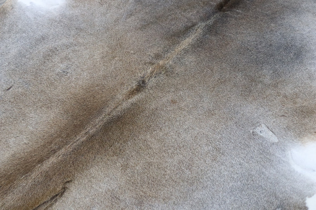 Tricolor (7.1 X 5.9 ft.) Exact As Photo BRAZILIAN Cowhide Rug | 100% Natural Cowhide Area Rug | Real Leather Cow Skin Rug | BZ508