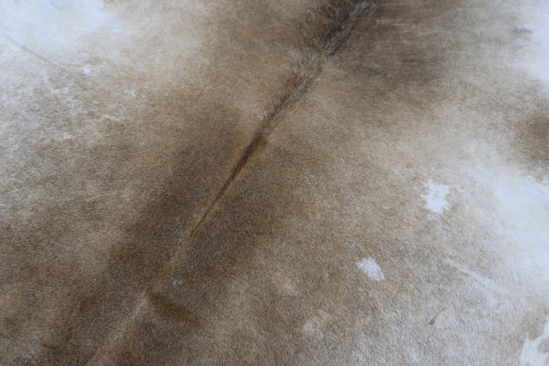Tricolor (6.9 X 5.9 ft.) Exact As Photo BRAZILIAN Cowhide Rug | 100% Natural Cowhide Area Rug | Real Leather Cow Skin Rug | BZ511