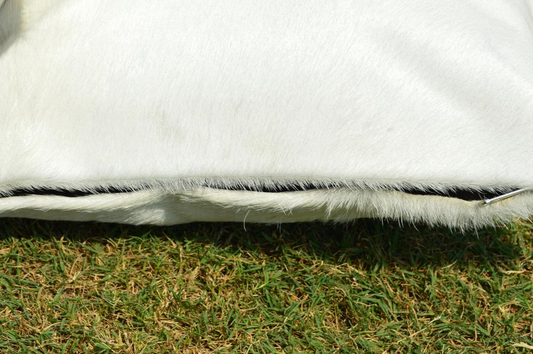 Double Sided Natural Pure White Cowhide Pillow Covers Real Hair on Leather Pillow Cases Natural Cow Skin Cushion Covers | PLW112