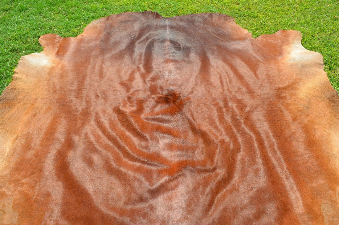 X Large ( 6 x 6 ft ), UNIQUE Brown Cowhide Hair-on Leather Area Rug C321 - EXACT As PICTURE