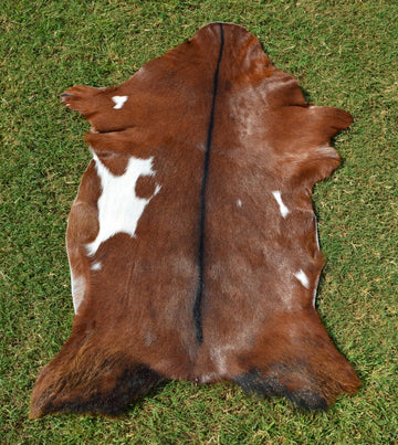 Exact As PHOTO ( 2.7 ft x 2 ft ), 100% Natural GOAT Skin Hair-on Leather Rug Genuine Goat Hide Area Rug - G36
