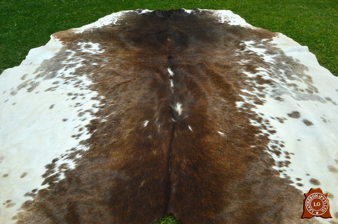 Large ( 6 X 5.2 ft ), UNIQUE Brown White Cowhide Hair-on Leather Area Rug C164 - EXACT As PHOTO