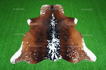 Tricolor Cowhide (5 X 5 ft.) Medium Size Exact As Photo Cowhide RUG | 100% Natural Cowhide Rug | Real Hair-on Cowhide Leather Rug | C870