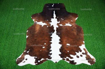 Tricolor Small (4.9 X 4.7 ft.) Exact As Photo Cowhide Rug | 100% Natural Cowhide Area Rug | Real Hair-on Leather Cowhide Rug | C860