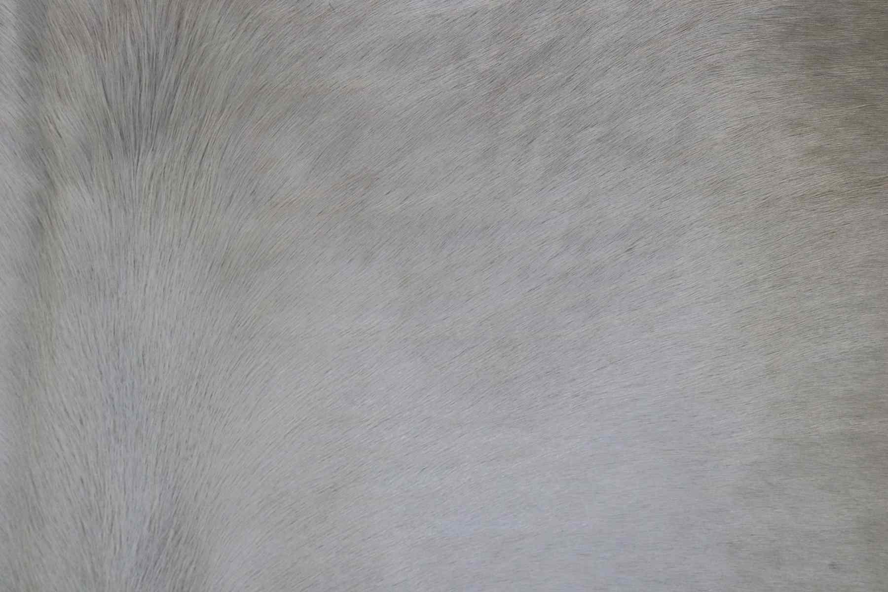 Beige White (7.1 X 5.7 ft.) Exact As Photo BRAZILIAN Cowhide Rug | 100% Natural Cowhide Area Rug | Real Leather Cow Skin Rug | BZ127