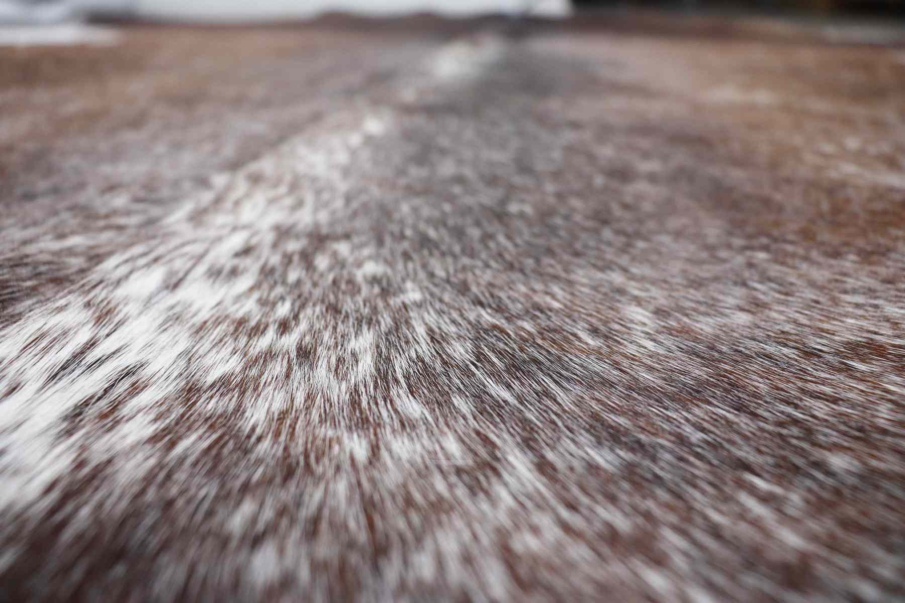 Tricolor (7.1 X 6.1 ft.) Exact As Photo BRAZILIAN Cowhide Rug | 100% Natural Cowhide Area Rug | Real Leather Cow Skin Rug | BZ129