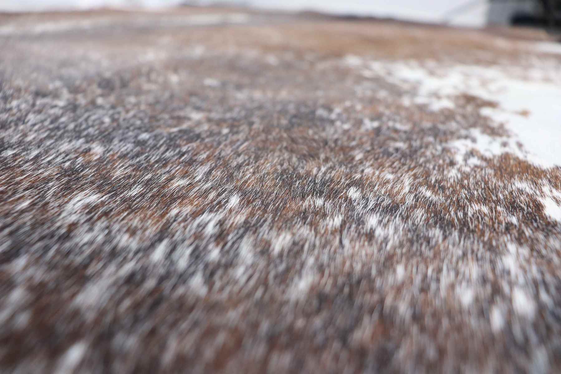 Tricolor (7.1 X 6.1 ft.) Exact As Photo BRAZILIAN Cowhide Rug | 100% Natural Cowhide Area Rug | Real Leather Cow Skin Rug | BZ129