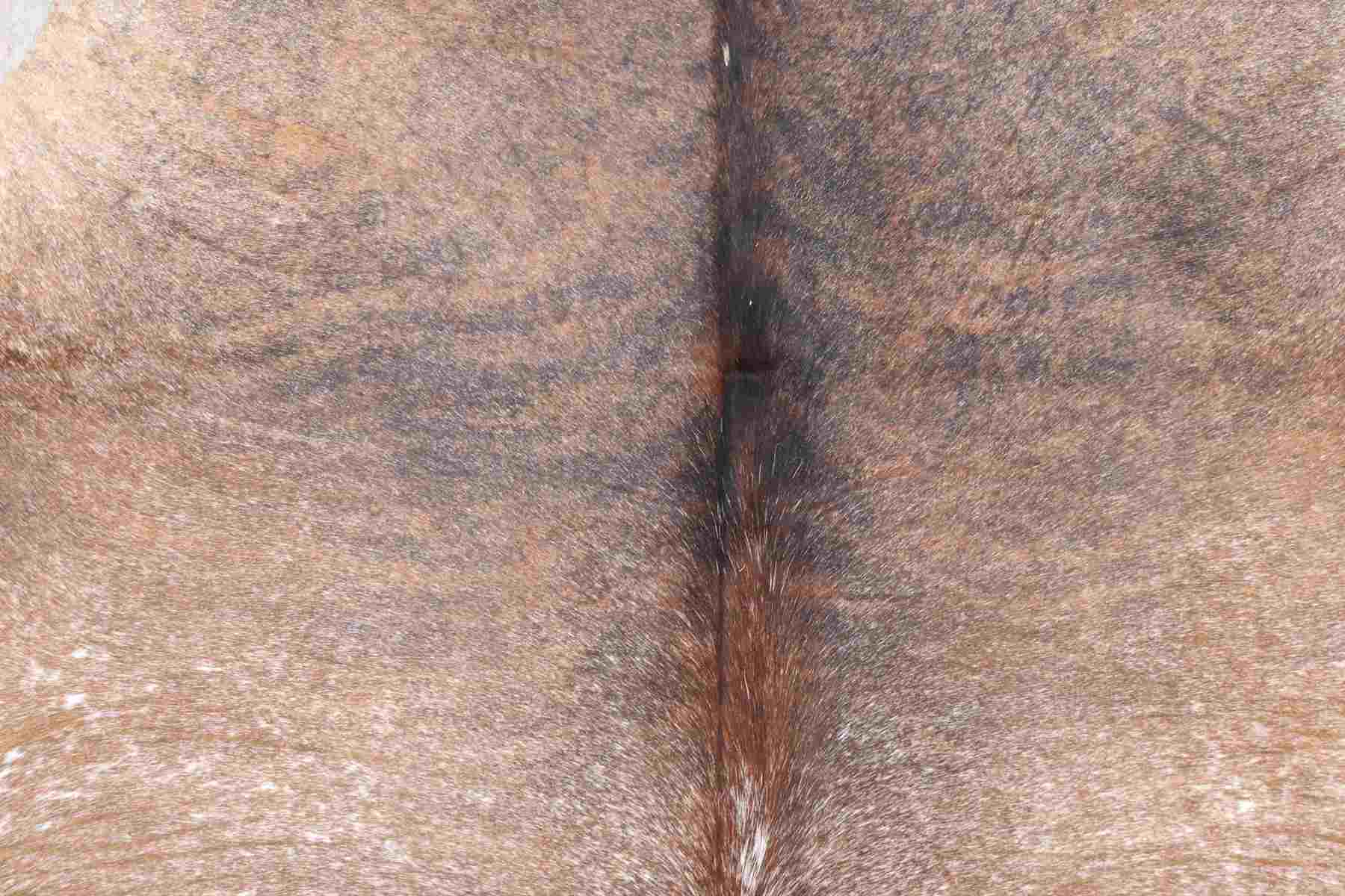 Tricolor (7.1 X 6.1 ft.) Exact As Photo BRAZILIAN Cowhide Rug | 100% Natural Cowhide Area Rug | Real Leather Cow Skin Rug | BZ129