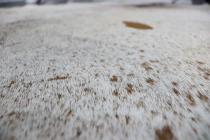 Brown White (6.11 X 6.2 ft.) Exact As Photo BRAZILIAN Cowhide Rug | 100% Natural Cowhide Area Rug | Real Leather Cow Skin Rug | BZ145