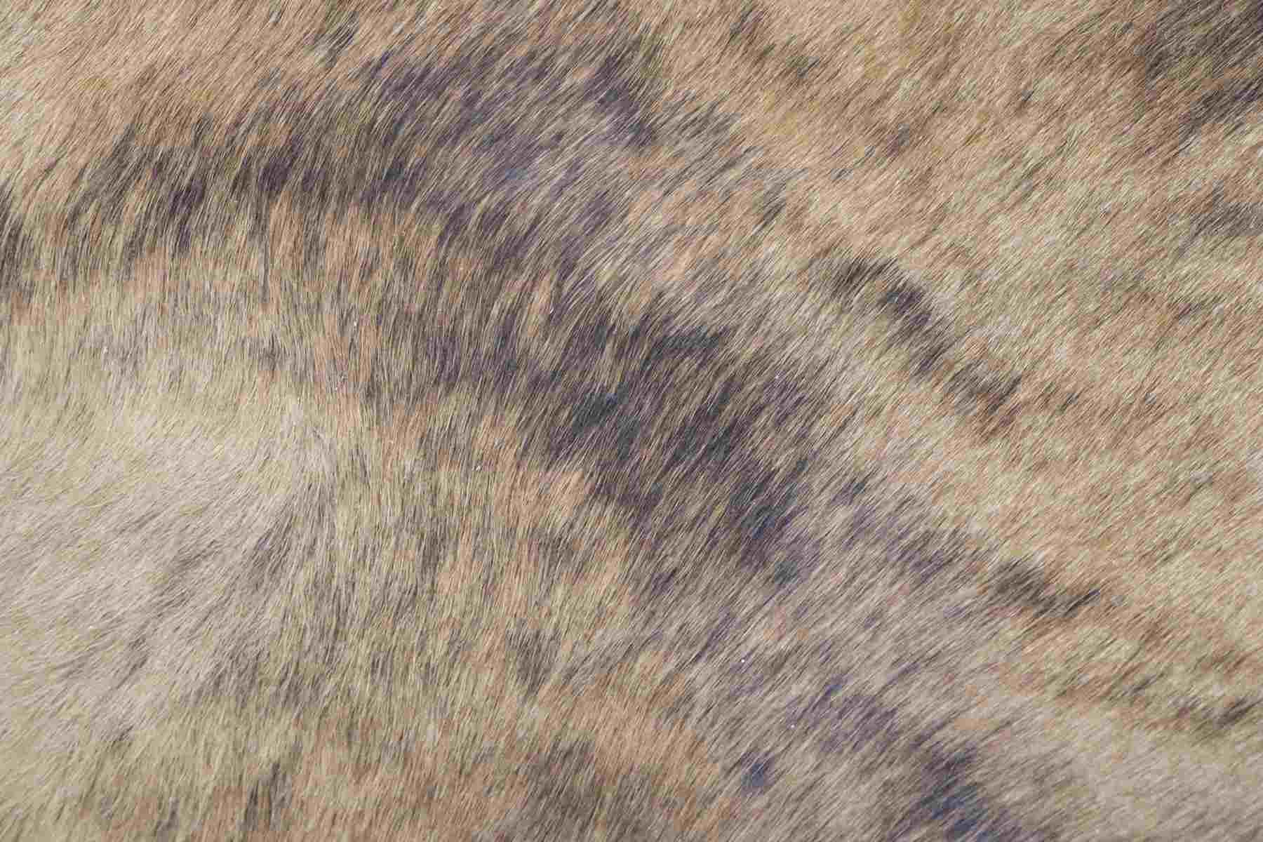 Brown Brindle (5.11 X 5.10 ft.) Exact As Photo BRAZILIAN Cowhide Rug | 100% Natural Cowhide Area Rug | Real Leather Cow Skin Rug | BZ149