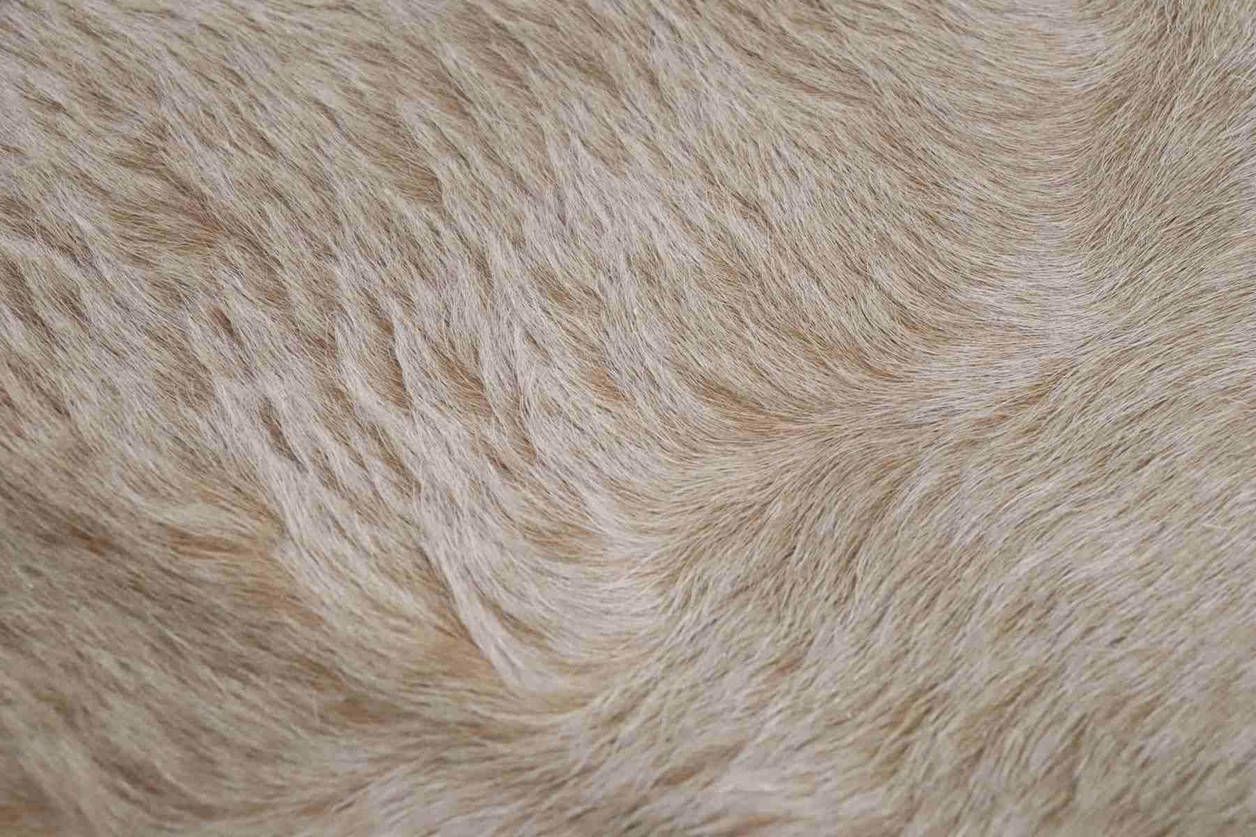 Brown Beige (7.1 X 6.4 ft.) Exact As Photo BRAZILIAN Cowhide Rug | 100% Natural Cowhide Area Rug | Real Leather Cow Skin Rug | BZ157