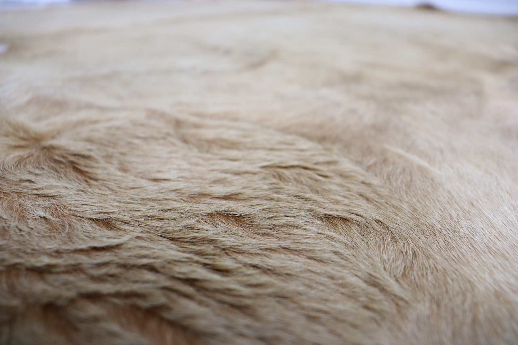 Brown Beige (7.1 X 6.4 ft.) Exact As Photo BRAZILIAN Cowhide Rug | 100% Natural Cowhide Area Rug | Real Leather Cow Skin Rug | BZ157