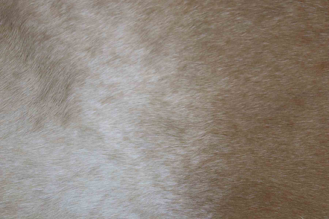 Light Brown White (6.10 X 6.4 ft.) Exact As Photo BRAZILIAN Cowhide Rug | 100% Natural Cowhide Area Rug | Real Leather Cow Skin Rug | BZ159