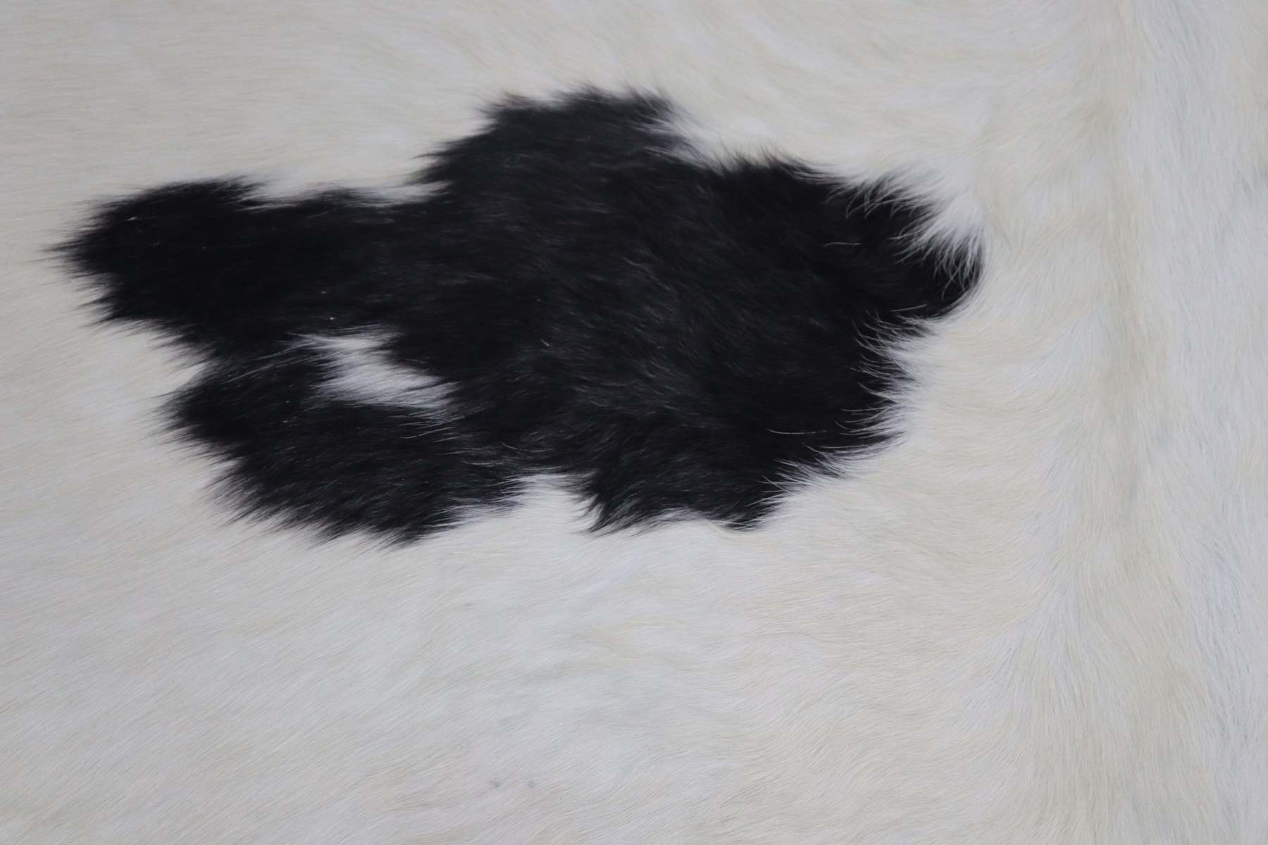 White Black (7.1 X 6.4 ft.) Exact As Photo BRAZILIAN Cowhide Rug | 100% Natural Cowhide Area Rug | Real Leather Cow Skin Rug | BZ162