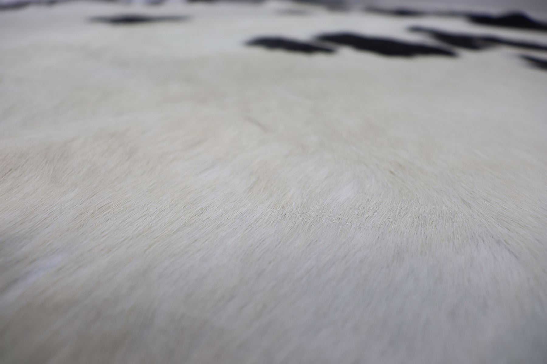 White Black (7.1 X 6.4 ft.) Exact As Photo BRAZILIAN Cowhide Rug | 100% Natural Cowhide Area Rug | Real Leather Cow Skin Rug | BZ162
