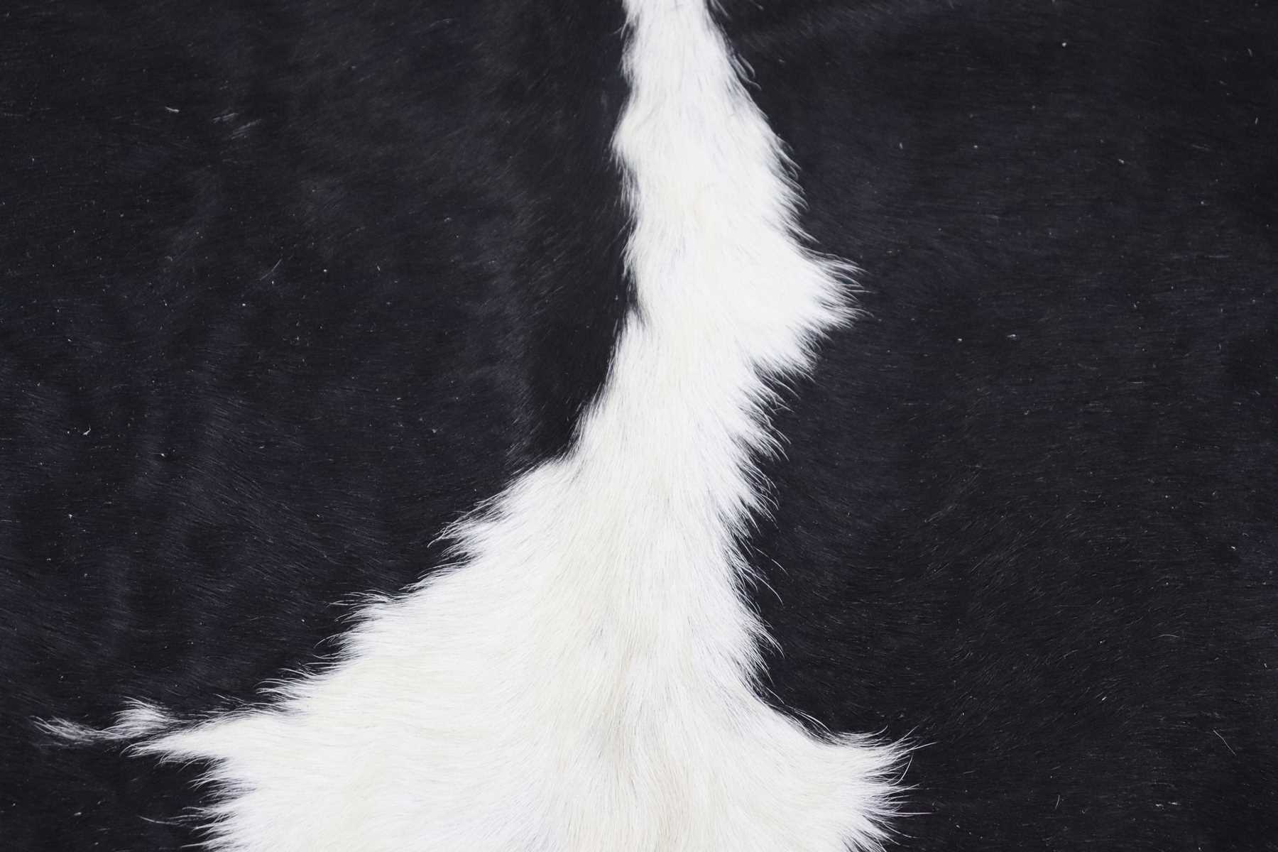 Black White (7.4 X 6.1 ft.) Exact As Photo BRAZILIAN Cowhide Rug | 100% Natural Cowhide Area Rug | Real Leather Cow Skin Rug | BZ163