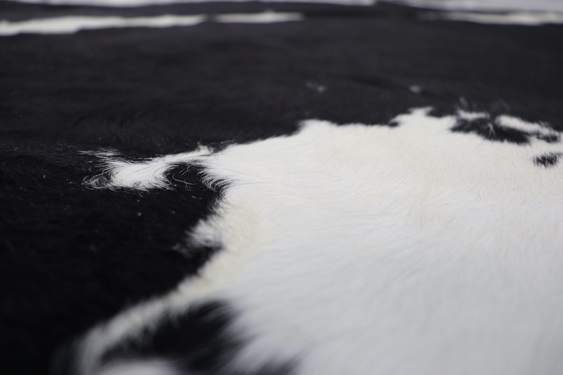 Black White (7.4 X 6.1 ft.) Exact As Photo BRAZILIAN Cowhide Rug | 100% Natural Cowhide Area Rug | Real Leather Cow Skin Rug | BZ163