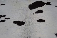 Load image into Gallery viewer, White Black (6.9 X 5.11 ft.) Exact As Photo BRAZILIAN Cowhide Rug | 100% Natural Cowhide Area Rug | Real Leather Cow Skin Rug | BZ165
