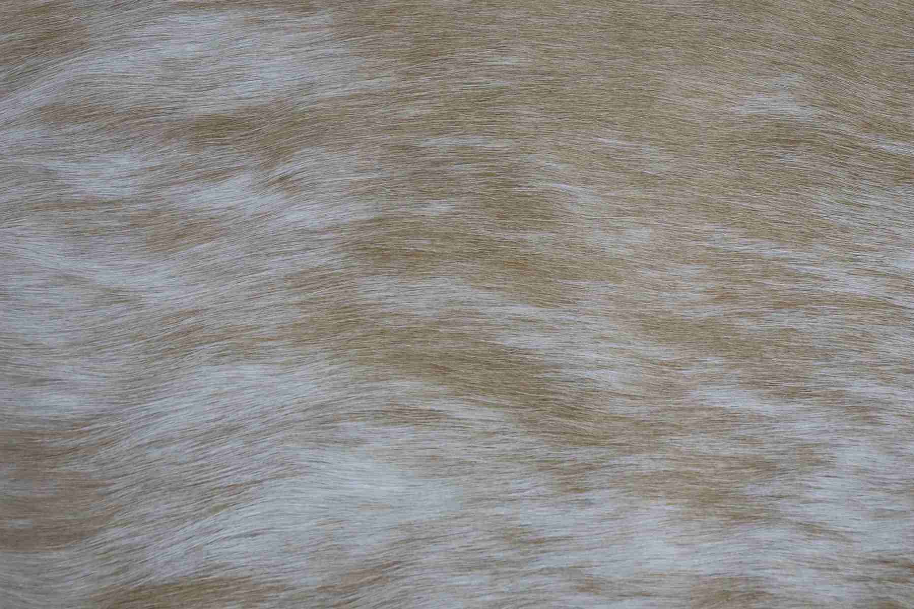 Light Brown White Brindle (6.7 X 5.9 ft.) Exact As Photo BRAZILIAN Cowhide Rug | 100% Natural Cowhide Area Rug | Real Leather Cow Skin Rug | BZ176