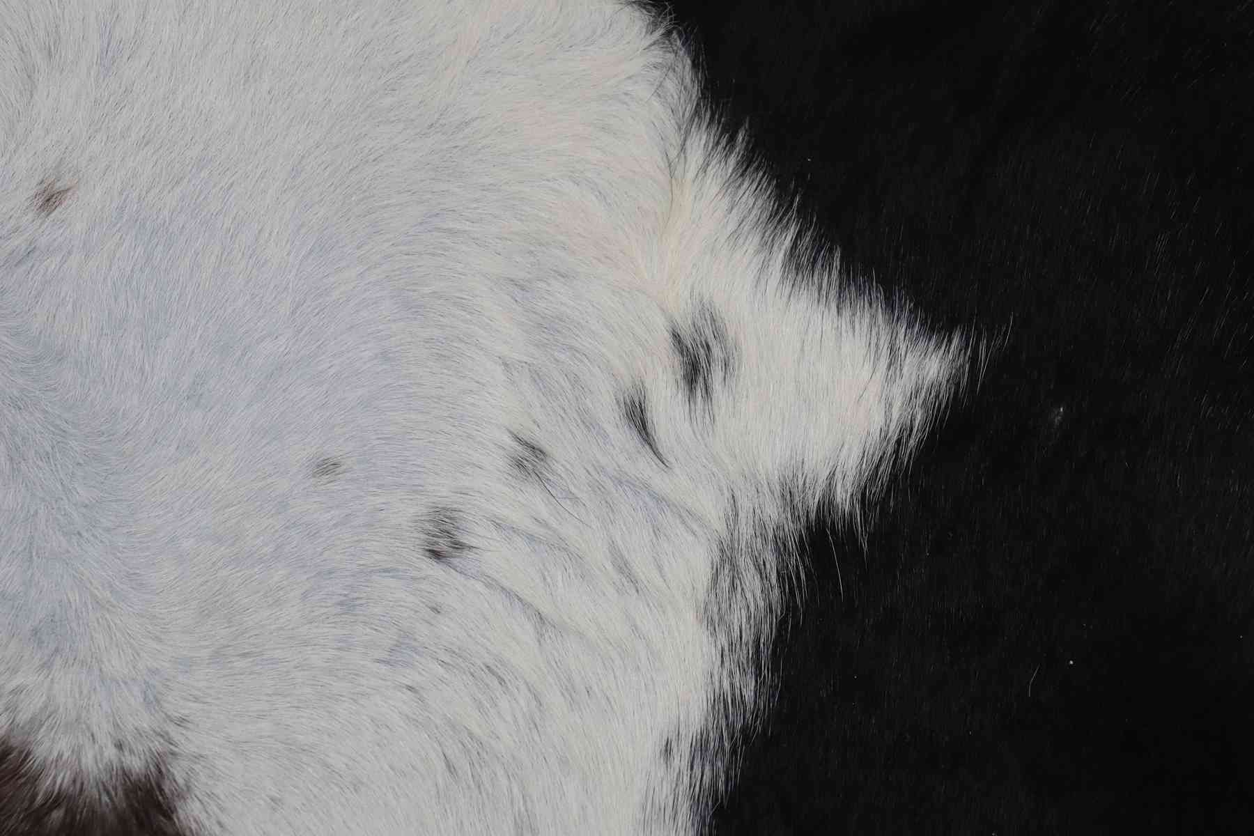 Tricolor (7.6 X 6.4 ft.) Exact As Photo BRAZILIAN Cowhide Rug | 100% Natural Cowhide Area Rug | Real Leather Cow Skin Rug | BZ177